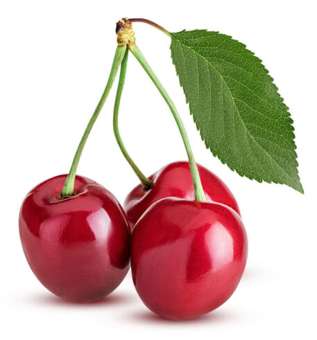Kirsche mit Blatt
