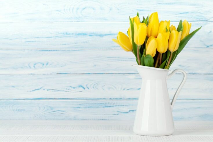 tulpen