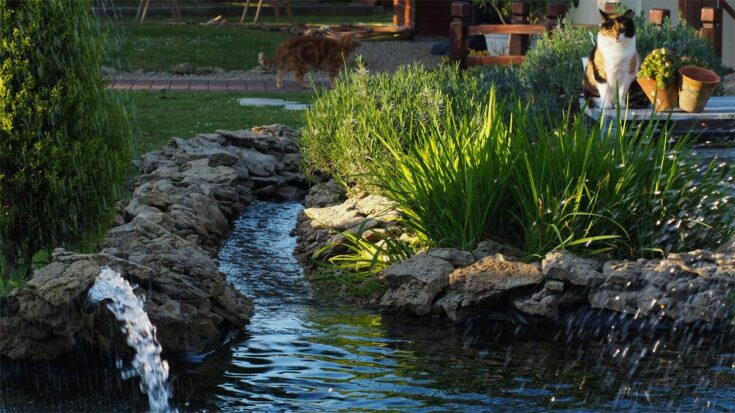 Wassergarten mit Wasserzufuhr