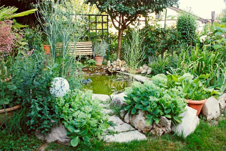Wassergarten mit Teich