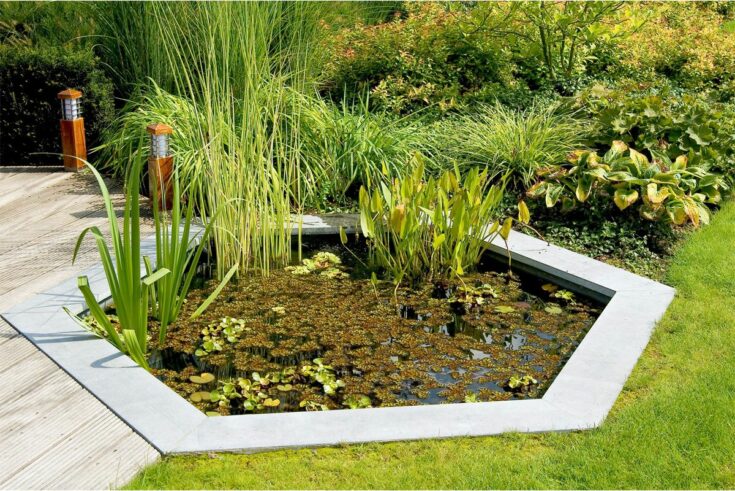 Gartenteich Sechseck